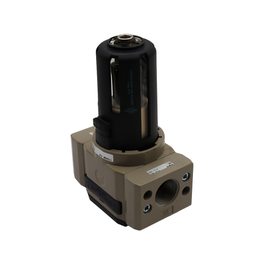 Semiautomatischer 3/4"-Filter für Wasserreiniger 0,1 Mikron – Rubix (DGA075AX00)