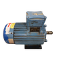 Silnik elektryczny 4 kW dmuchawa Mico 90/3 po regeneracji - Savio (ME07010)