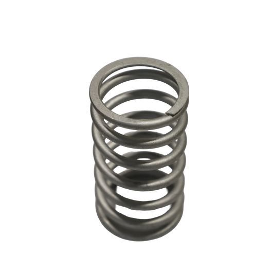 Molla valvola interna Serie 6 - Innio Jenbacher (254403)