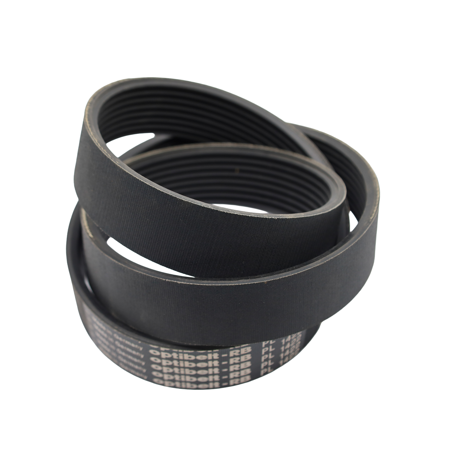 Cinghia POLY-V CP 560 L8 - Bianchi industrial (CP560L8)