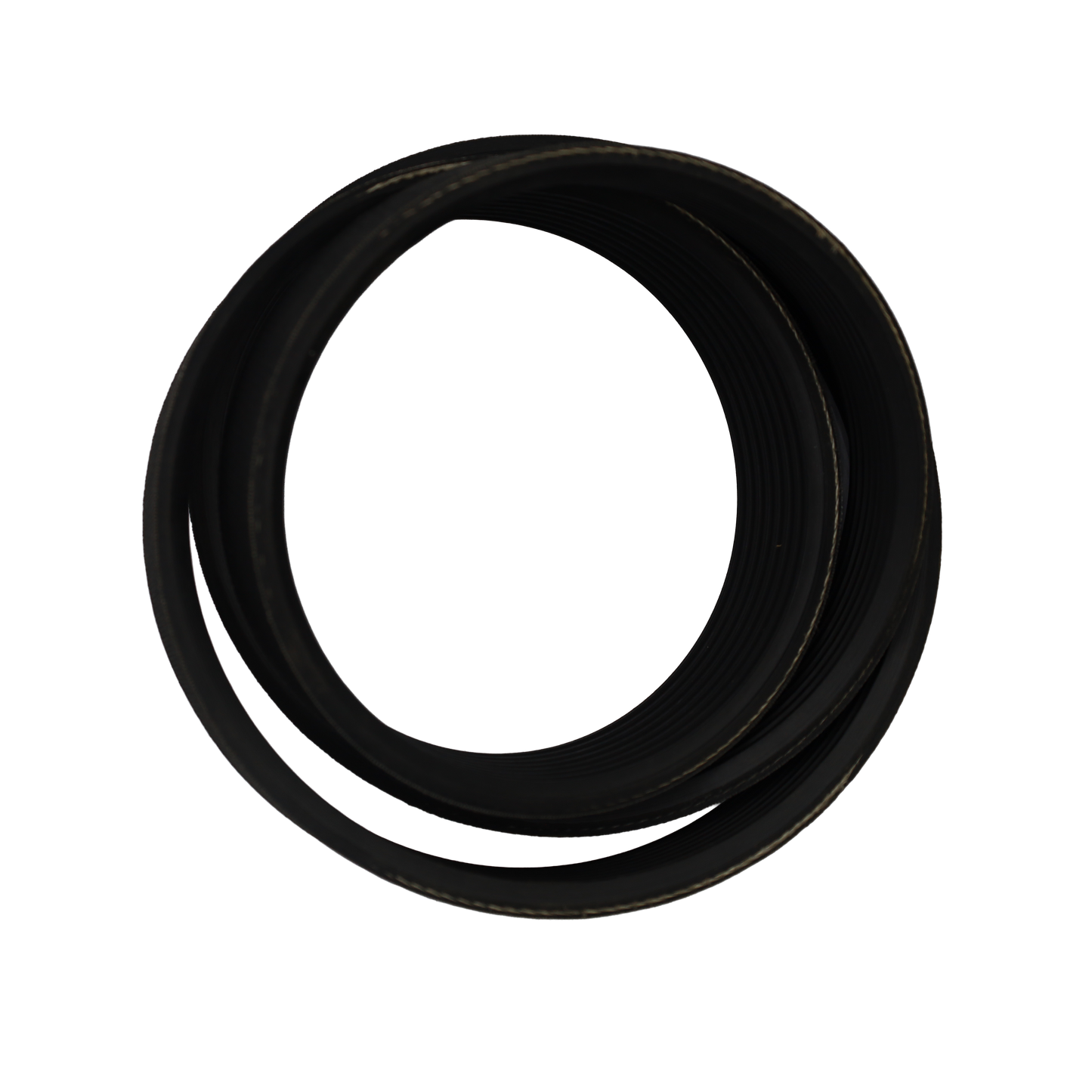 Cinghia POLY-V CP 560 L8 - Bianchi industrial (CP560L8)