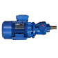 Pompa monoblocco BMF10-AE-V6G0.26-100 REV - Gvr Pompe s.r.l. (BMF10-6V)