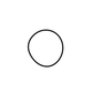O-ring - Innio Jenbacher (105849)