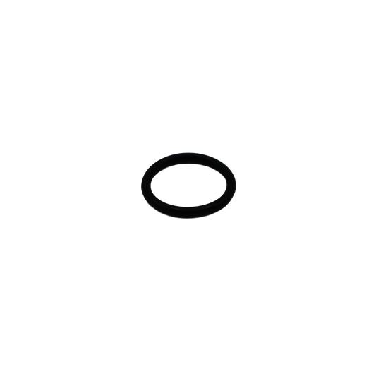 O-Ring - Innio Jenbacher (164041)