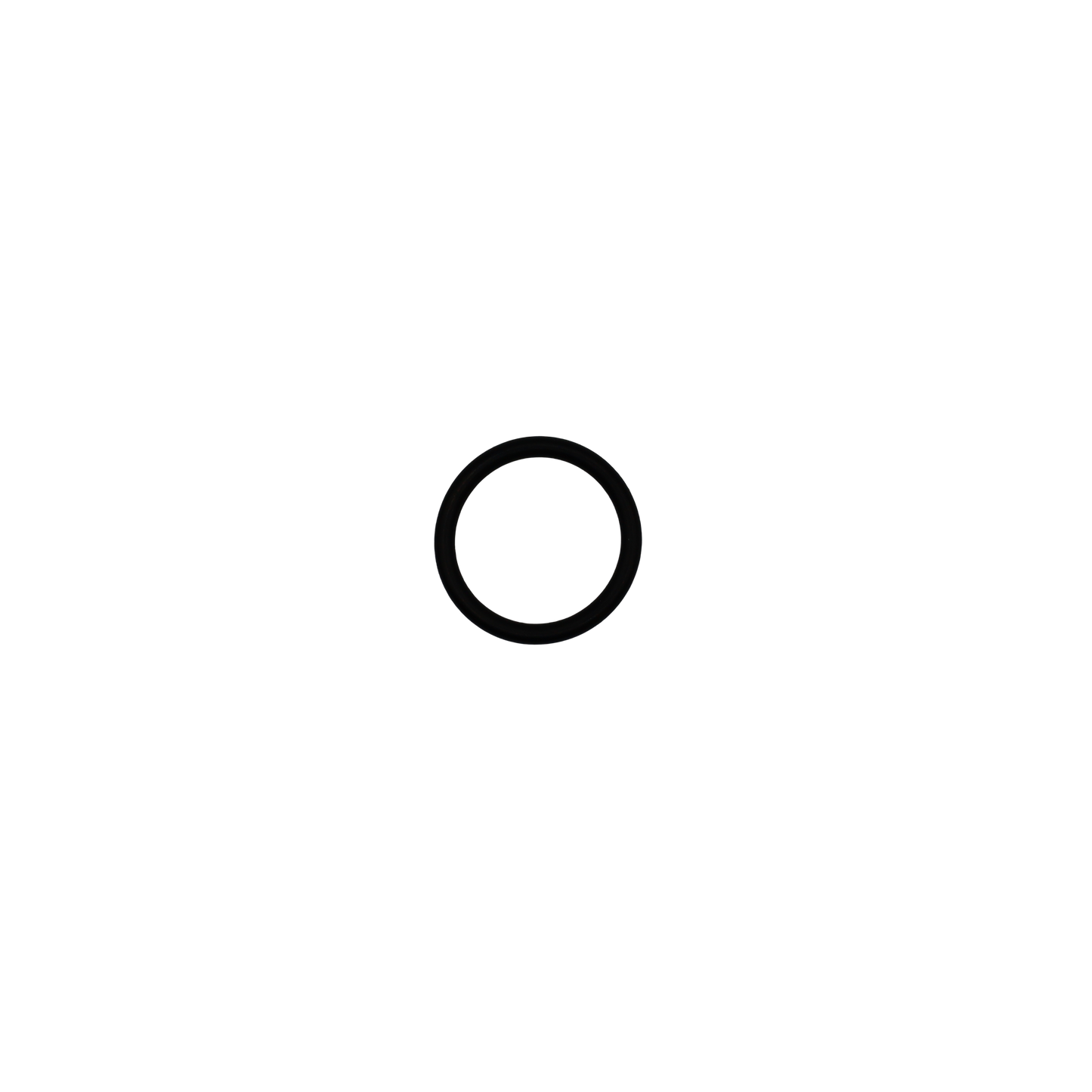 O-Ring - Innio Jenbacher (164041)
