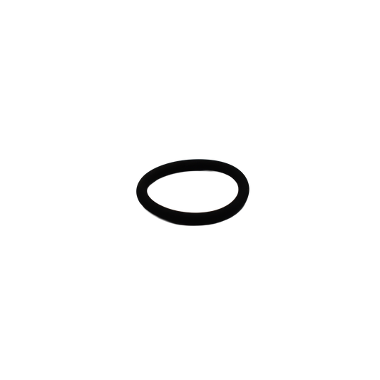 O-ring - Innio Jenbacher (100015)