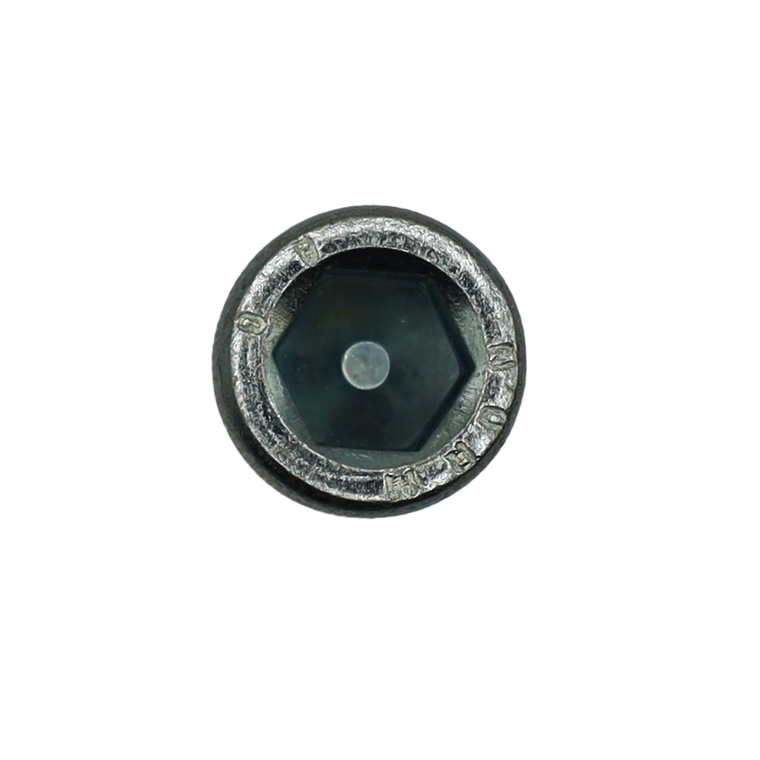 M12x25 Galvanized Hex Socket Head Cap Screw - Innio Jenbacher (100213)
