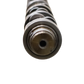 Albero a camme completo 420 REV - Innio Jenbacher (308459)