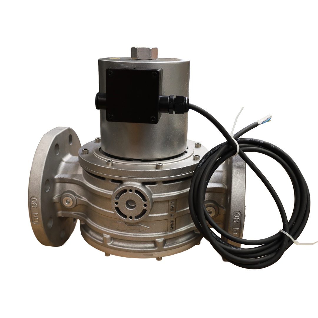 Valvola gas DN80 XVP0905005 flangiata – Tecnogas S.r.l. (60553B24VDC)