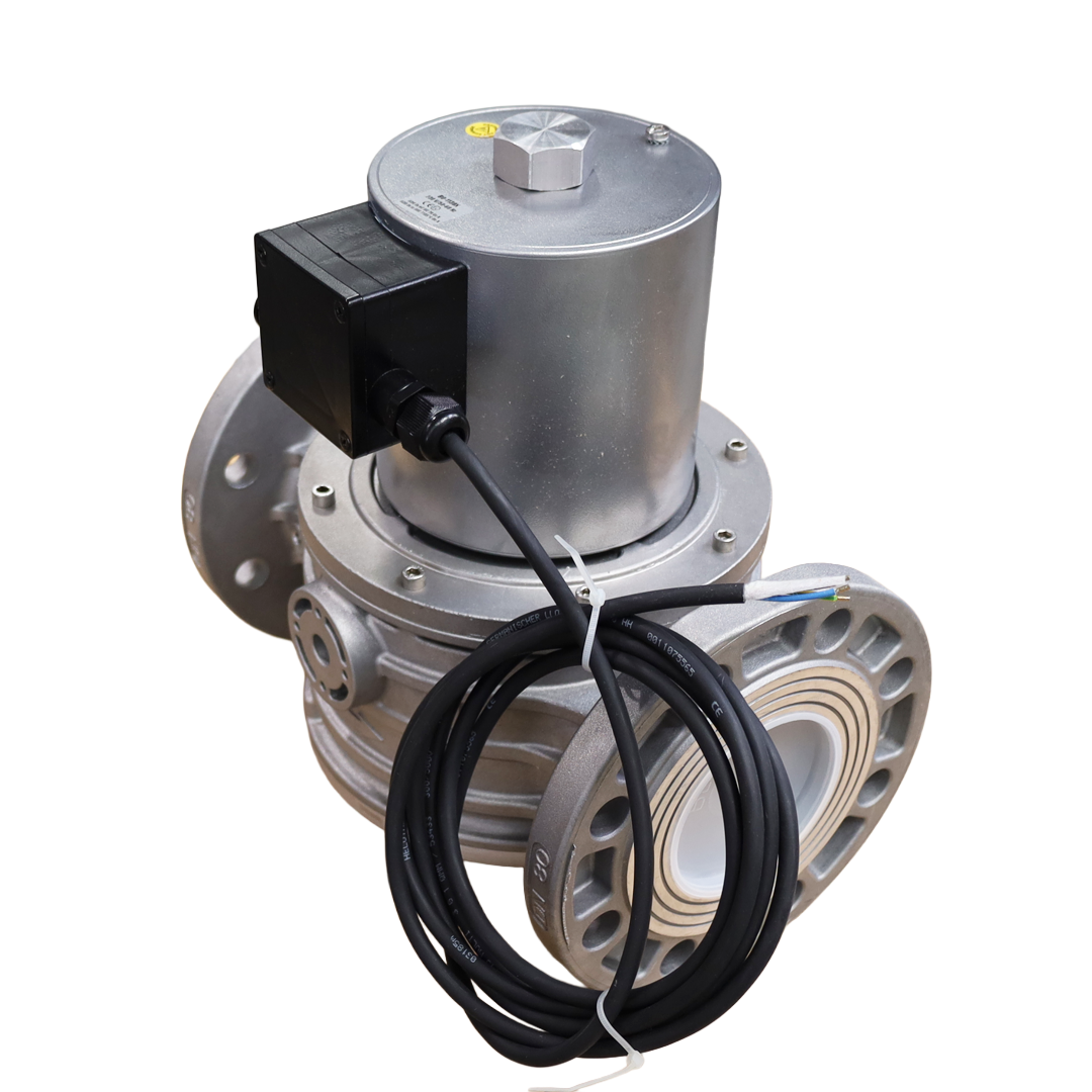 Valvola gas DN80 XVP0905005 flangiata – Tecnogas S.r.l. (60553B24VDC)