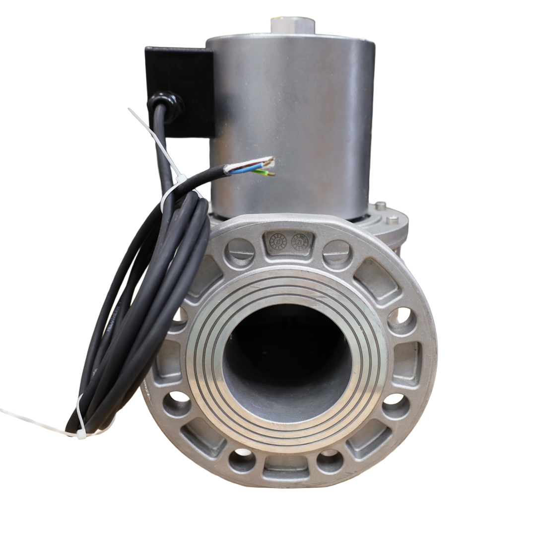 Valvola gas DN80 XVP0905005 flangiata – Tecnogas S.r.l. (60553B24VDC)