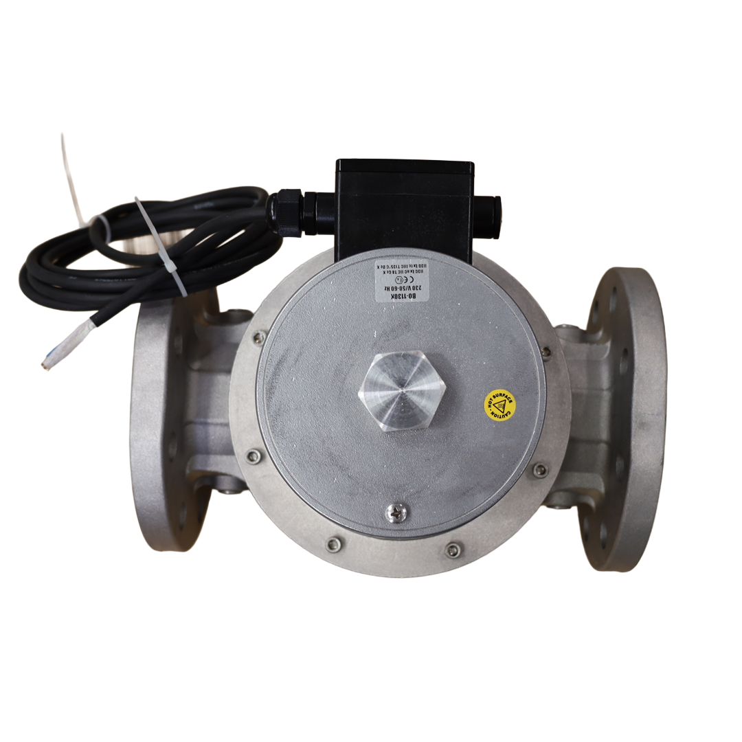 Valvola gas DN80 XVP0905005 flangiata – Tecnogas S.r.l. (60553B24VDC)