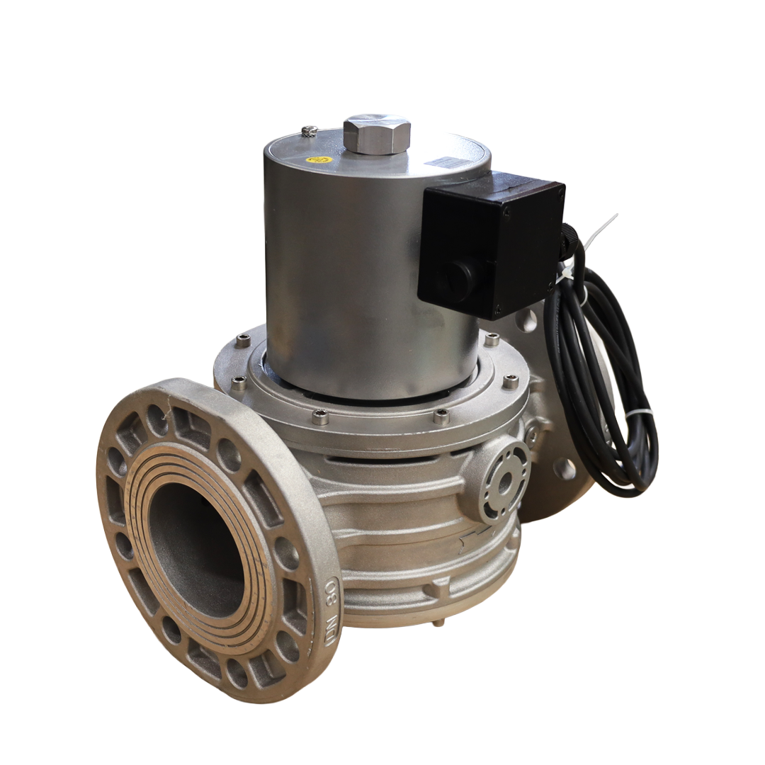 Valvola gas DN80 XVP0905005 flangiata – Tecnogas S.r.l. (60553B24VDC)