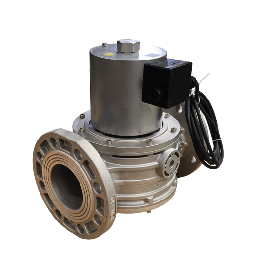 Valvola gas DN80 XVP0905005 flangiata – Tecnogas S.r.l. (60553B24VDC)
