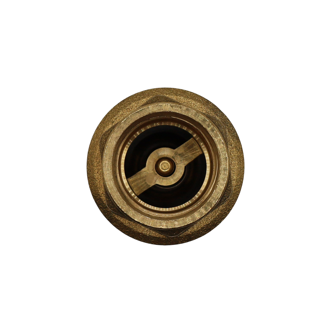 Check valve 50006 3/4'' - Idras (641020)