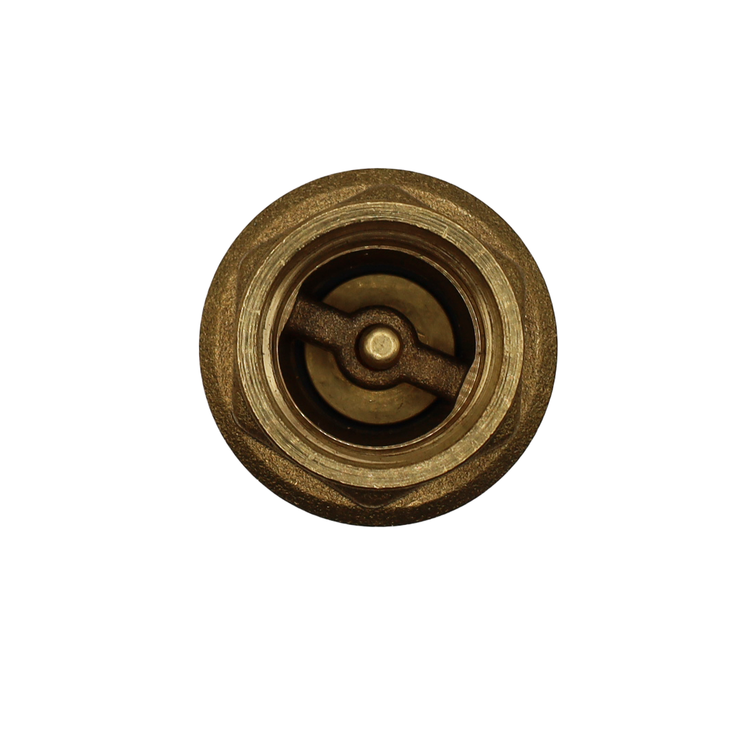 Check valve 50006 3/4'' - Idras (641020)