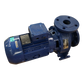Pompa Nsce50-125/40 Dn65/50 4Kw - Xylem Water Solutions (101840410)