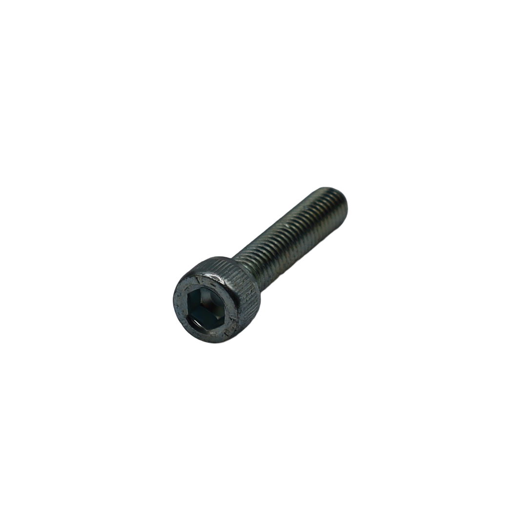 Vite cilindrica esagonale M06x30mm 10 cl 8.8 SSTL - Innio Jenbacher (115225)