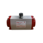 Pneumatischer Antrieb S93-1169 einfachwirkend Bray - RUBIX S.p.A. ()