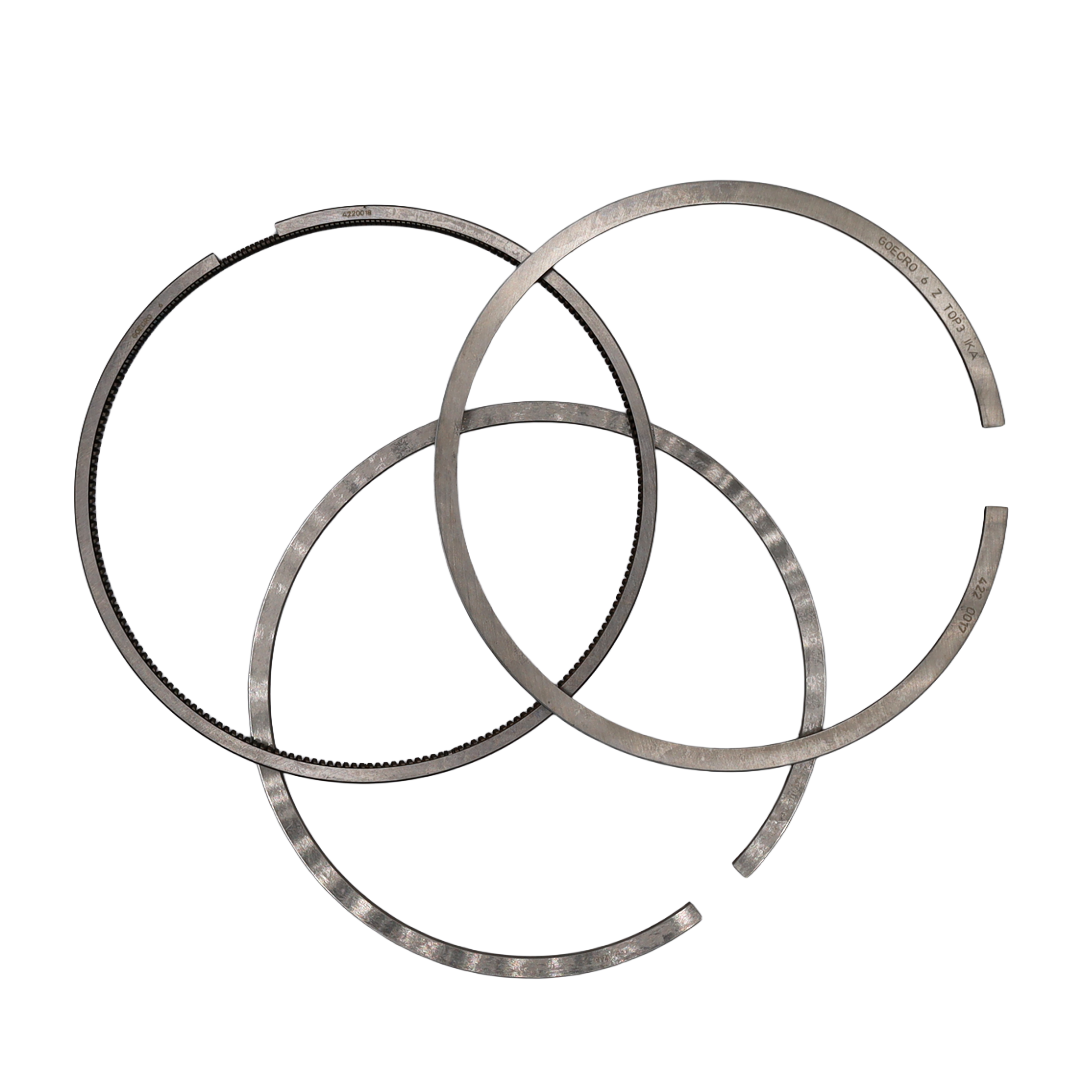 Serie di Fasce Elastiche Mtu/Mde - (4220300124)