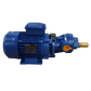 Pompe à huile 0,3 kW 400 V courant alternatif - GVR Pompe srl (BMF10-6V)