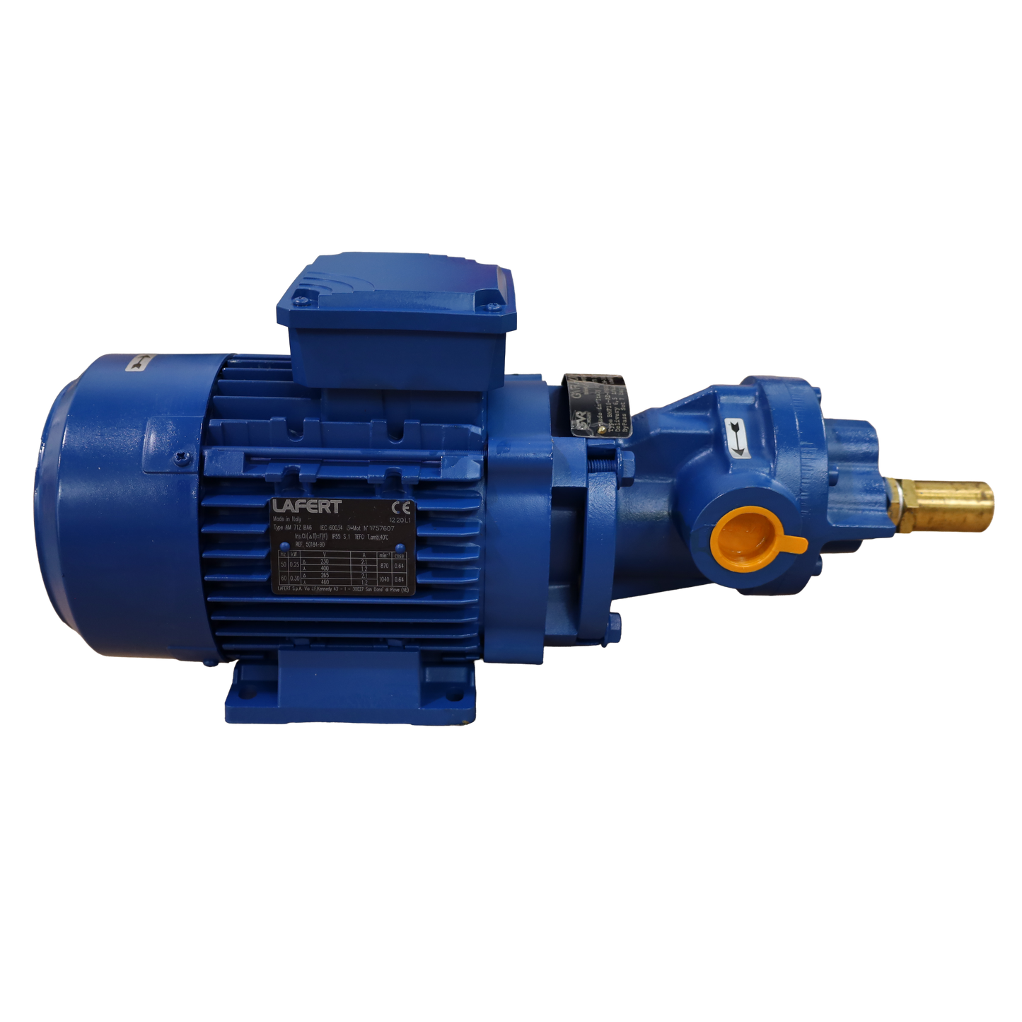 Pompe à huile 0,3 kW 400 V courant alternatif - GVR Pompe srl (BMF10-6V)