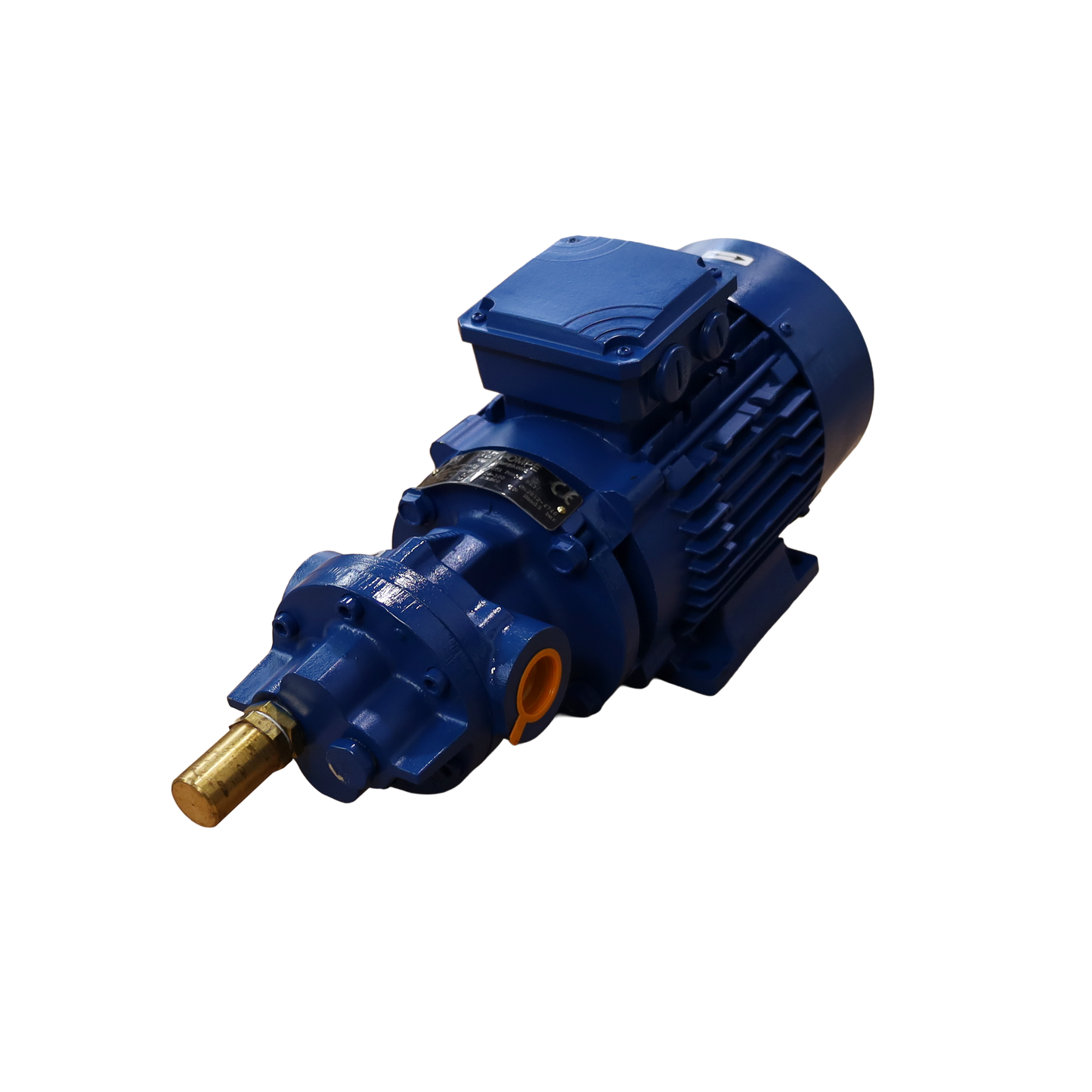 Pompe à huile 0,3 kW 400 V courant alternatif - GVR Pompe srl (BMF10-6V)