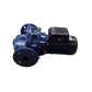 Pompa LNEE 40-125/02/S45RCS4 0,25kW - Xylem Water Solutions Italia s.r.l. (020-004-004-00001)