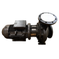 Pompa NB125-250/236 REV - Grundfos Pompe Italia s.r.l. (98097357)