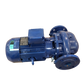 Pompa LNEE 50-160/40/P25VCS4 LOWARA - Xylem Water Solutions Italia s.r.l. (101880680)