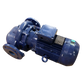 Pompa LNEE 50-160/40/P25VCS4 LOWARA - Xylem Water Solutions Italia s.r.l. (101880680)