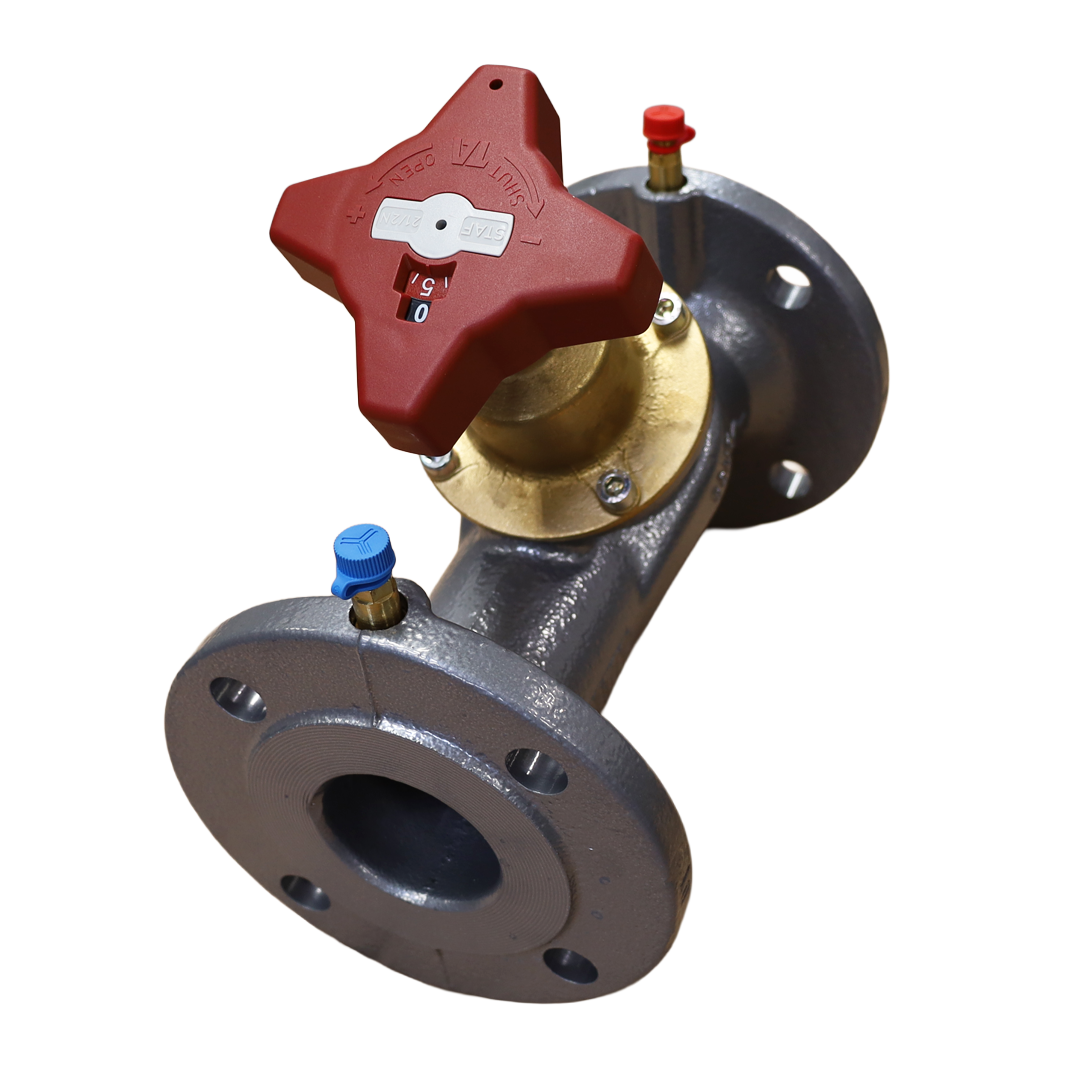 Valvola DN065 PN16 - Innio Jenbacher (109936)