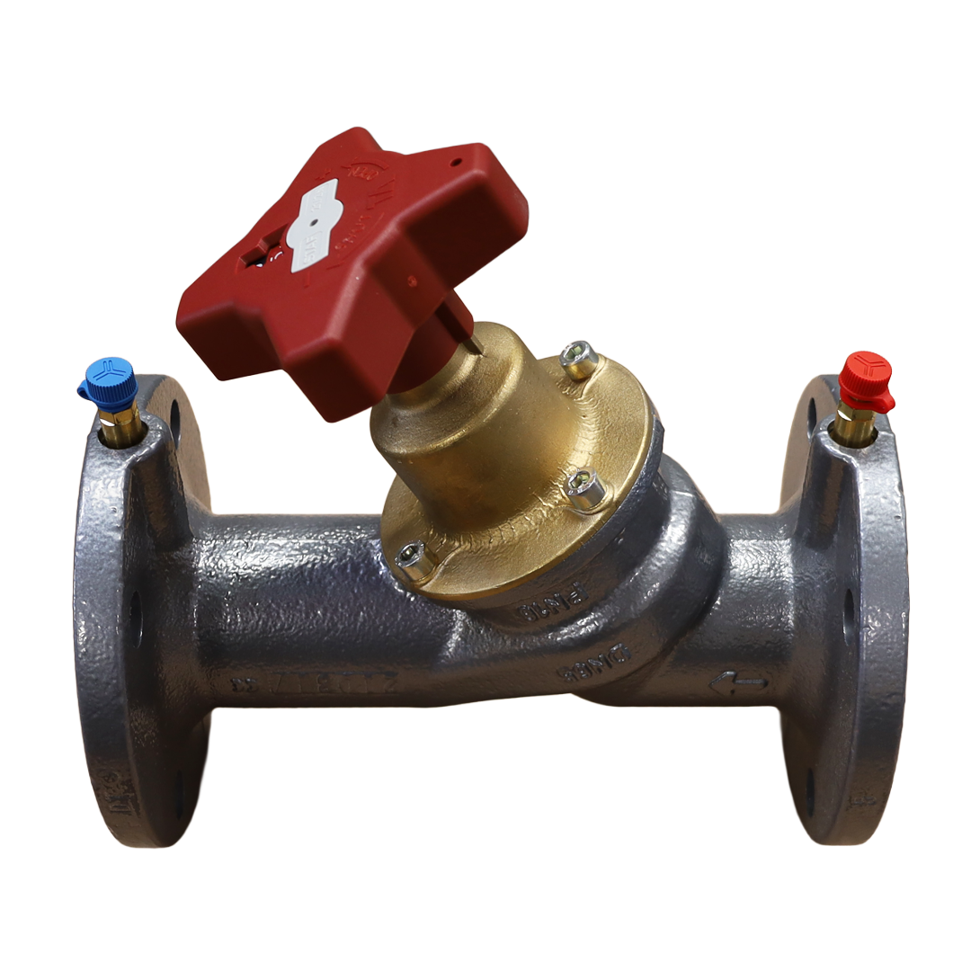 Valvola DN065 PN16 - Innio Jenbacher (109936)