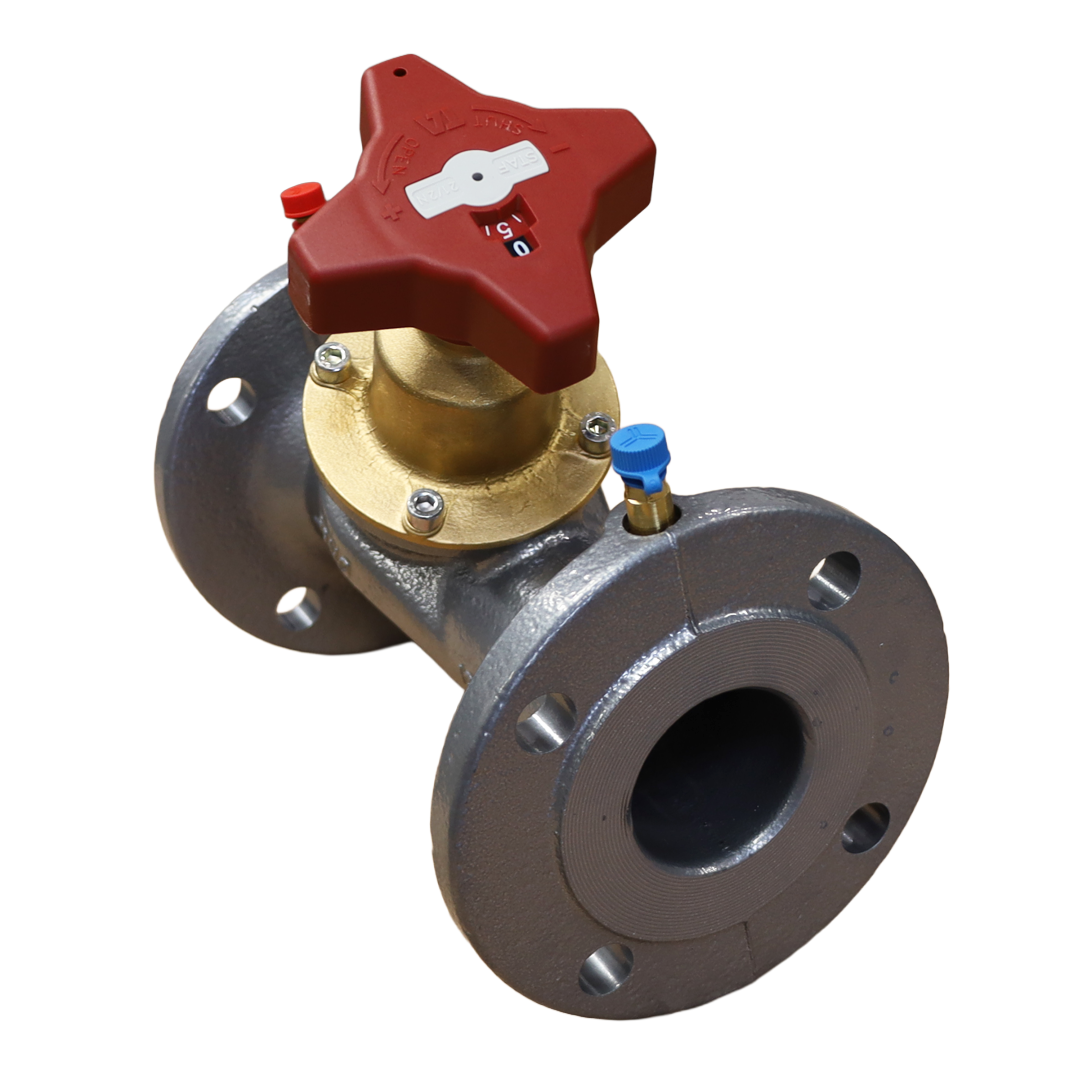 Valvola DN065 PN16 - Innio Jenbacher (109936)