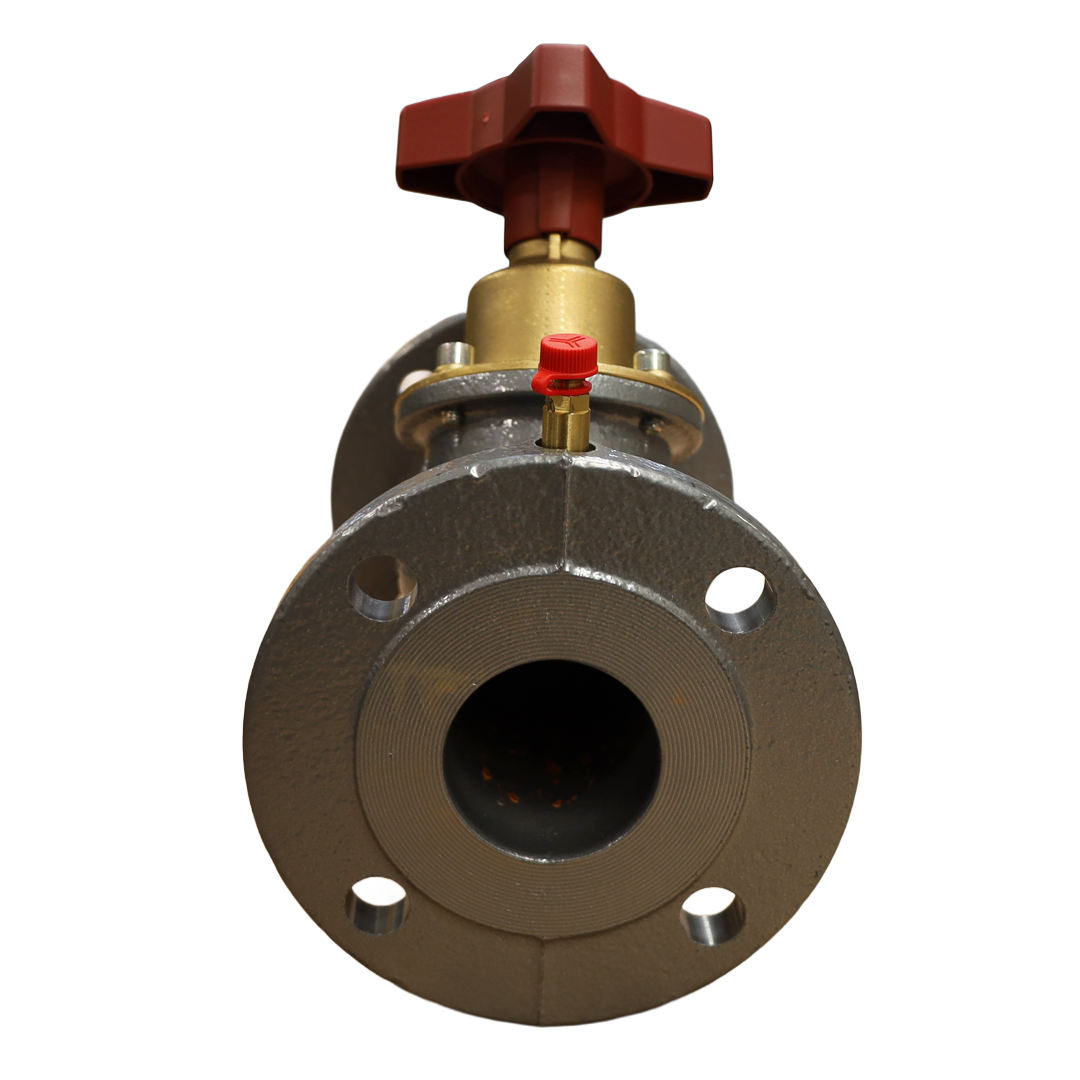Valvola DN065 PN16 - Innio Jenbacher (109936)