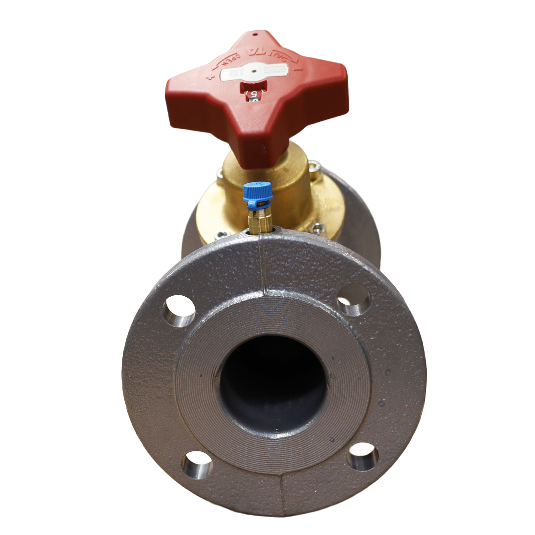 Valvola DN065 PN16 - Innio Jenbacher (109936)