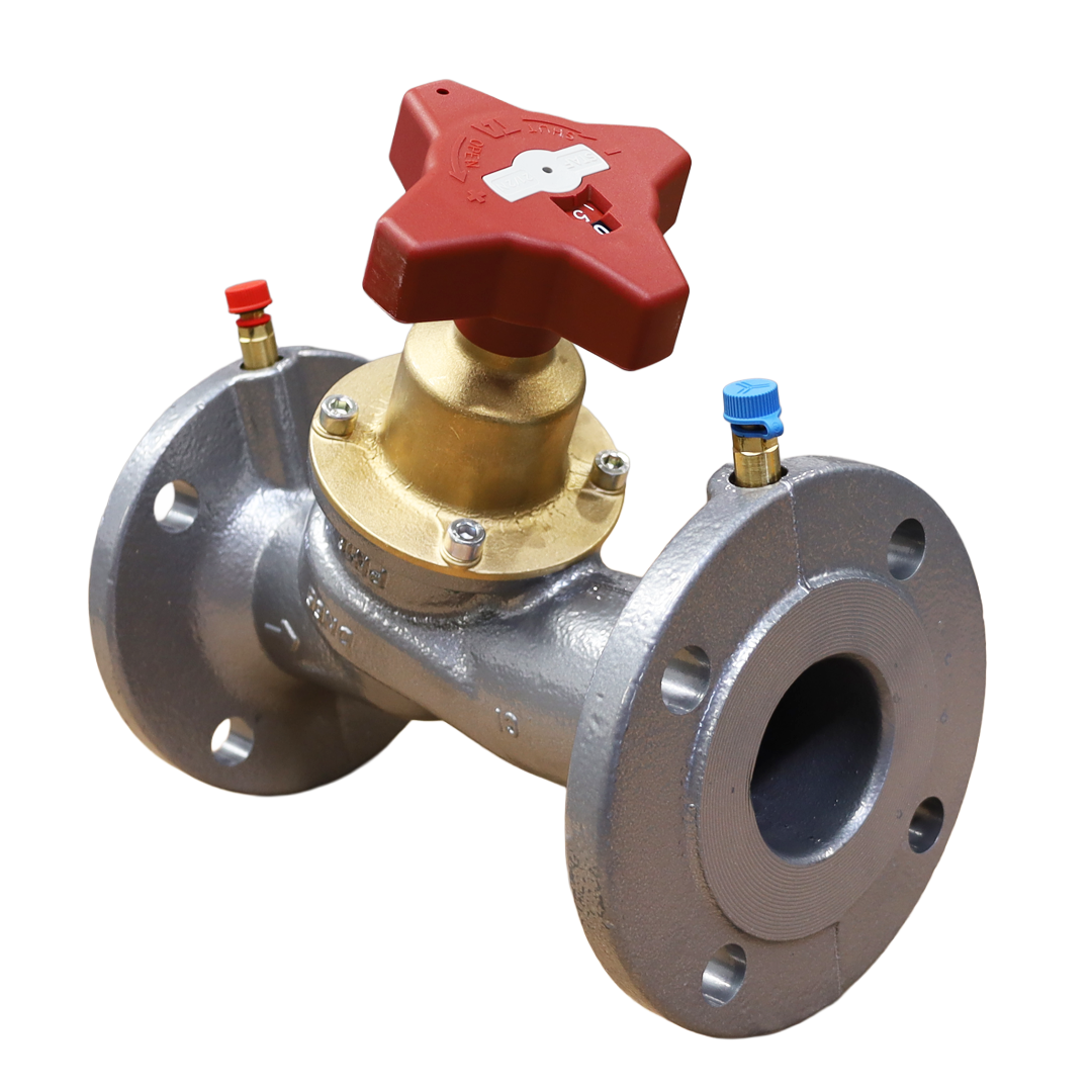 Valvola DN065 PN16 - Innio Jenbacher (109936)