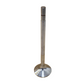 Series 6 Drain Valve (334782)